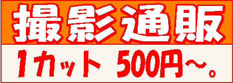 撮影通販価格　1カット500円～
